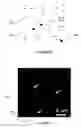 Fig. 06 - Nanoarray-in-microarray multiplexed analysis methods and systems