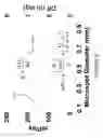 Fig. 09 - Nanoarray-in-microarray multiplexed analysis methods and systems