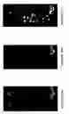 Fig. 13 - Nanoarray-in-microarray multiplexed analysis methods and systems