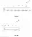 Fig. 14 - Relative encoding for a block-based bounding volume hierarchy