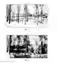 Fig. 14 - Techniques for transforming a multi-frame asset into a single image