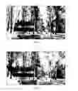 Fig. 15 - Techniques for transforming a multi-frame asset into a single image