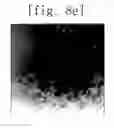 Fig. 17 - Method for rendering terrain