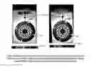 Fig. 01 - Automated verification of optical randomness in security label
