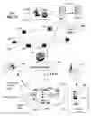 Fig. 13 - Method and system for adjusting user speech in a communication session