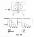 Fig. 07 - DISPLAY DEVICE AND DISPLAY SIGNAL GENERATION DEVICE