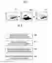 Fig. 05 - Display device and luminance correction method of the same