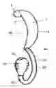 Fig. 01 - External ear insert for hearing comprehension enhancement