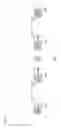 Fig. 02 - TRANSMISSION DEVICE AND TRANSMISSION METHOD FOR TRANSMITTING SOUND SIGNAL