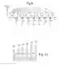 Fig. 11 - SOURCE LINE DRIVER FOR THREE DIMENSIONAL NON-VOLATILE MEMORY