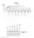 Fig. 10 - Three dimensional non-volatile memory with shorting source line/bit line pairs