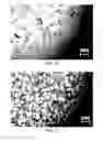 Fig. 07 - Mn-X-BASED MAGNETIC MATERIAL