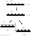 Fig. 01 - Nanoparticle-templated lithographic patterning of nanoscale electronic components