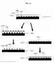 Fig. 16 - Nanoparticle-templated lithographic patterning of nanoscale electronic components