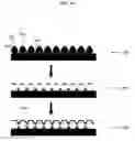 Fig. 20 - Nanoparticle-templated lithographic patterning of nanoscale electronic components