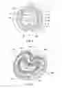Fig. 07 - Systems and methods for low resistivity physical vapor deposition of a tungsten film