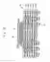 Fig. 22 - Semiconductor device