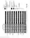 Fig. 232 - Semiconductor memory device, structure and methods