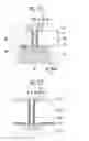 Fig. 34 - Method for manufacturing electronic device using sacrificial layer
