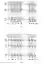 Fig. 03 - ARRAY SUBSTRATE AND DISPLAY DEVICE