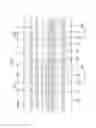 Fig. 08 - Organic light-emitting diode display