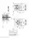Fig. 38 - Electronic devices and systems, and methods for making and using the same