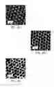 Fig. 06 - INTEGRATION OF AIR-SENSITIVE TWO-DIMENSIONAL MATERIALS ON ARBITRARY SUBSTRATES FOR THE MANUFACTURING OF ELECTRONIC DEVICES