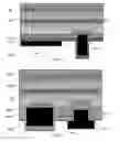 Fig. 04 - A HYBRID ALL-BACK-CONTACT SOLAR CELL AND METHOD OF FABRICATING THE SAME