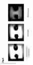 Fig. 05 - Nitride semiconductor light emitting element