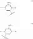 Fig. 211 - Compound