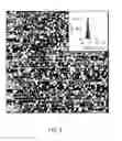 Fig. 07 - Single-walled carbon nanotubes/quantum dot hybrid structures and methods of making and use of the hybrid structures