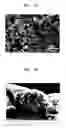 Fig. 05 - Random copolymer, electrolyte, protected anode and lithium battery including the same, and method of preparing the random copolymer
