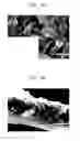 Fig. 07 - Random copolymer, electrolyte, protected anode and lithium battery including the same, and method of preparing the random copolymer