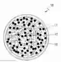 Fig. 01 - Electrode active material, electrode and secondary battery including the same, and method of preparing the electrode active material