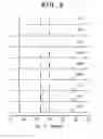 Fig. 03 - Positive active material for nonaqueous electrolyte secondary battery, method of manufacturing the positive active material, electrode for nonaqueous electrolyte secondary battery, nonaqueous electrolyte secondary battery and method of manufacturing the secondary battery