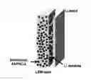 Fig. 01 - Lithium electrode and lithium battery including same