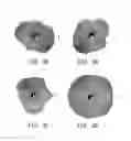 Fig. 03 - Wireless network device