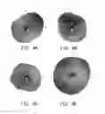Fig. 04 - Wireless network device