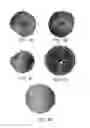 Fig. 06 - Wireless network device