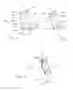 Fig. 05 - Label-holder element for electrical terminal blocks