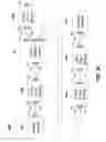 Fig. 52 - Sequentially operated modules