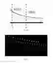 Fig. 13 - Robust foreign objects detection