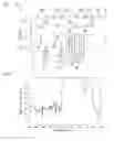 Fig. 04 - Band pass filter and duplexer