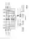 Fig. 10 - Redundancy protection for reconfigurable optical add/drop multiplexing (ROADM) branching unit