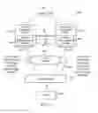 Fig. 08 - Loop avoidance for event-driven virtual link aggregation