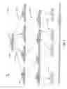 Fig. 06 - Bloom filter index for device discovery