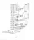 Fig. 09 - Computer Network Modeling