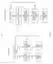 Fig. 09 - Packet processing with reduced latency