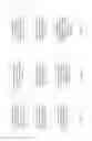 Fig. 10 - Packet header randomization