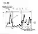 Fig. 17 - Focus detection device and image-capturing apparatus